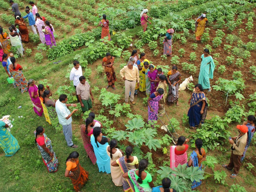 Farmer Training