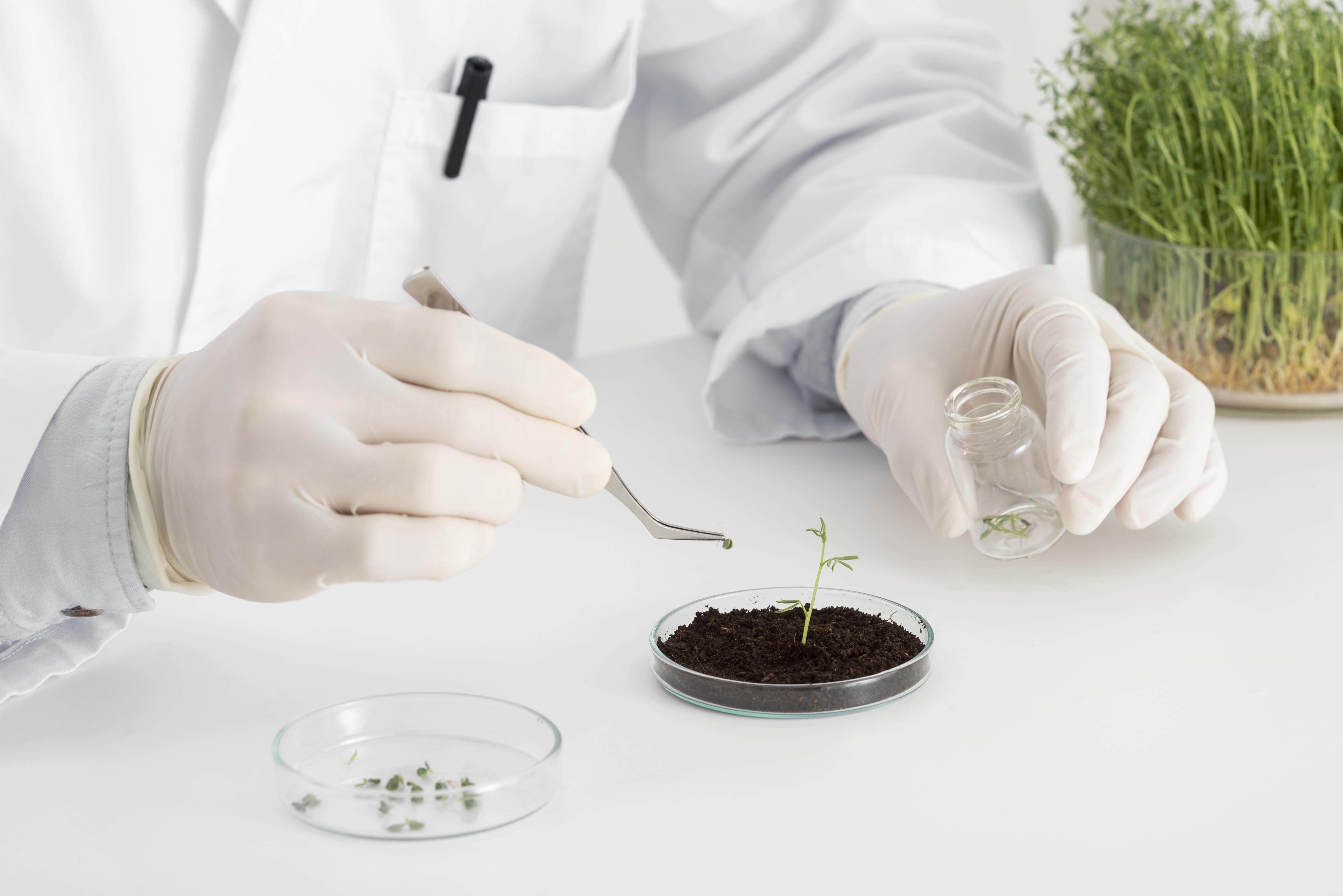 Seed Quality Testing