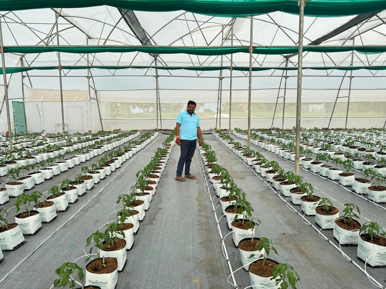 Field Trials